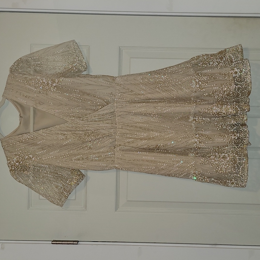 Sparkly champagne colored dress